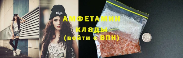 индика Балабаново