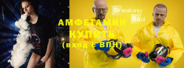 индика Балабаново
