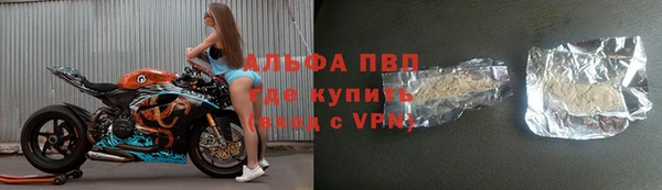 индика Балабаново
