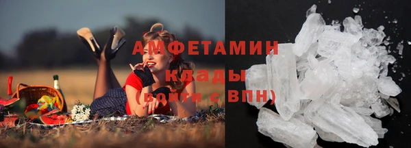 индика Балабаново