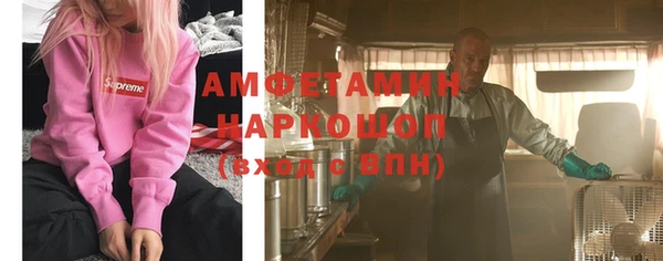 индика Балабаново