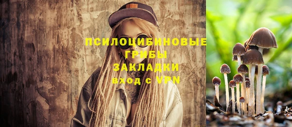 индика Балабаново