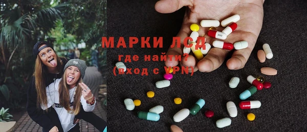индика Балабаново