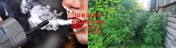 индика Балабаново