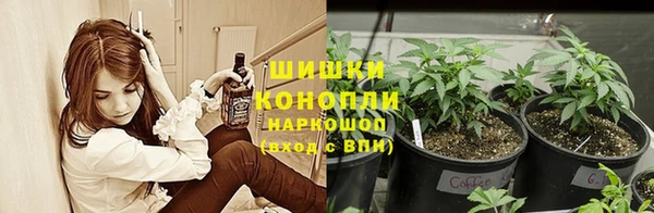 индика Балабаново