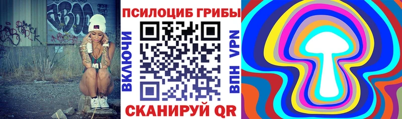 Галлюциногенные грибы MAGIC MUSHROOMS  Купить где  Дальнегорск 